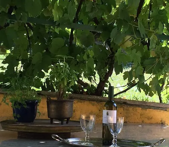 La Casanova Torino
