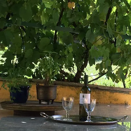 La Casanova Turín